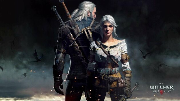 The Witcher Hunt Series